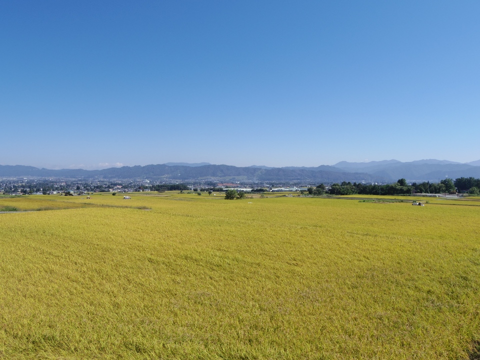 a0034487_19141520.jpg