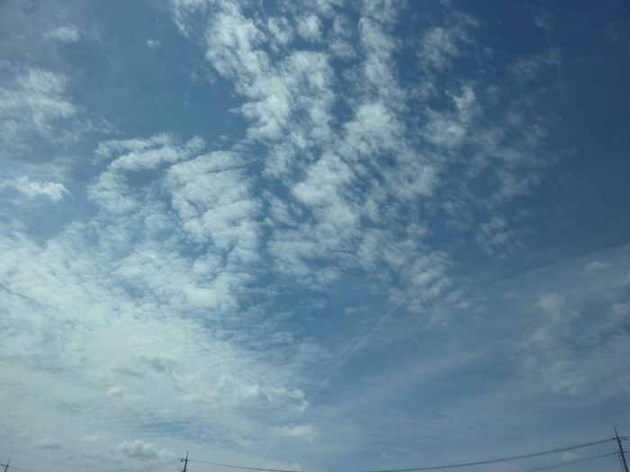 d0333091_18512738.jpg