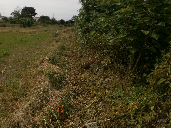 d0000995_21464679.jpg