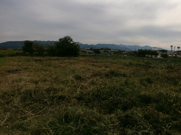 d0000995_2149710.jpg