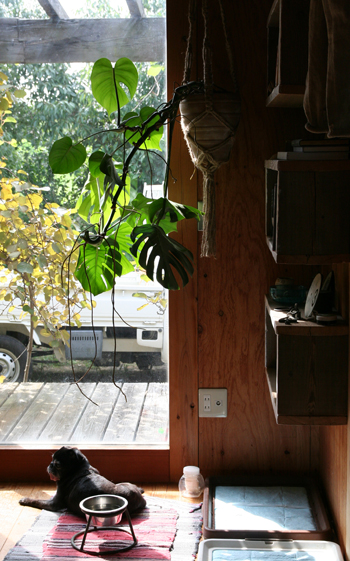 d0100095_9492656.jpg