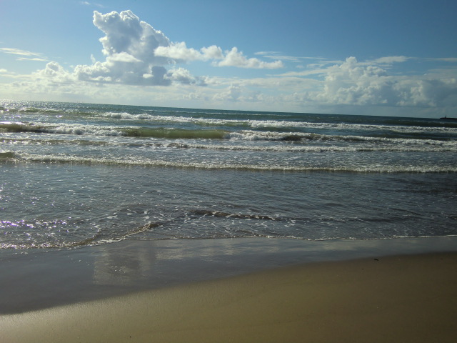 b0044296_21544917.jpg