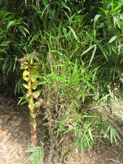 f0346196_09075493.jpg