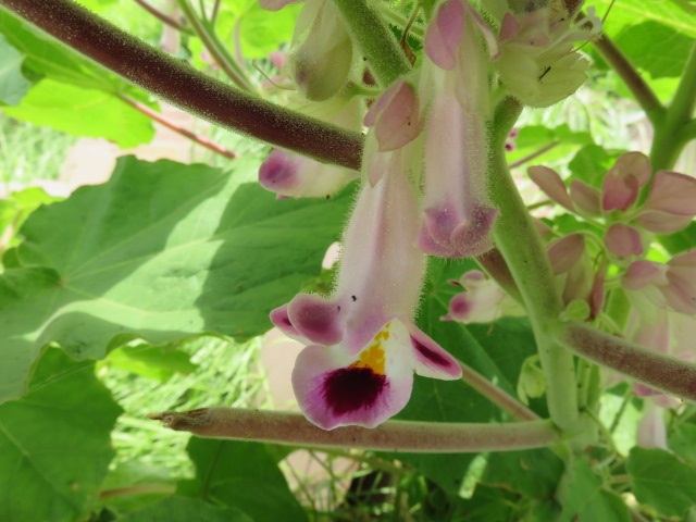 f0346196_10305248.jpg