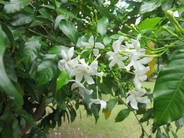 f0346196_10305889.jpg