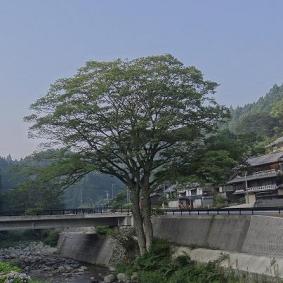 e0184598_17135254.jpg