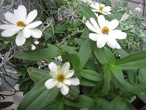 d0046702_032223.jpg