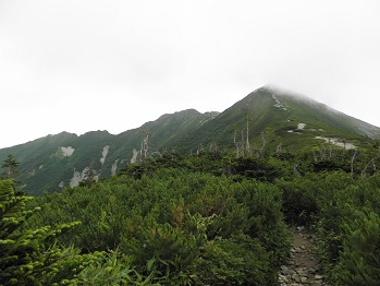 d0032405_10493755.jpg