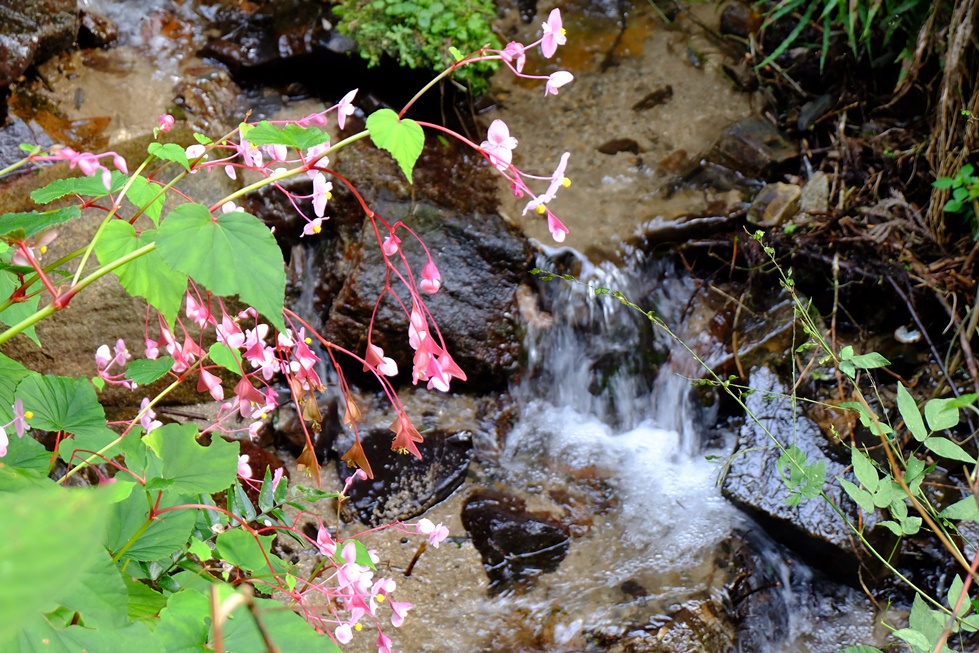 f0113108_13533744.jpg