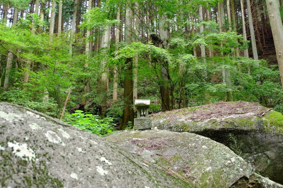 f0113108_141044.jpg
