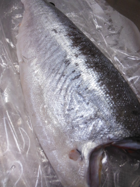 f0208812_10381520.jpg