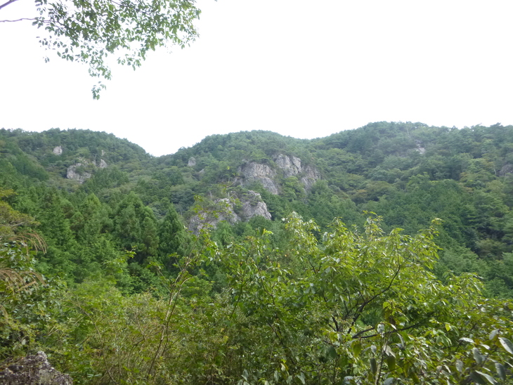 d0170615_1647425.jpg