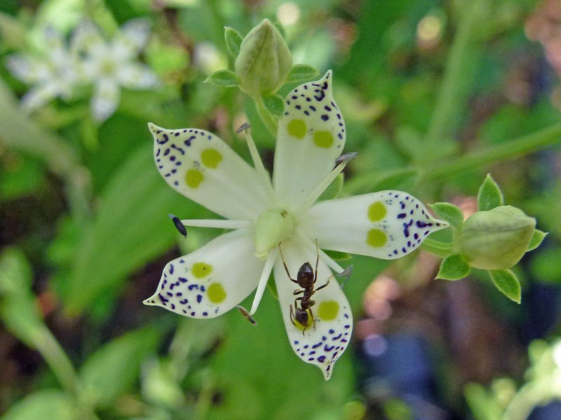 c0042418_745136.jpg
