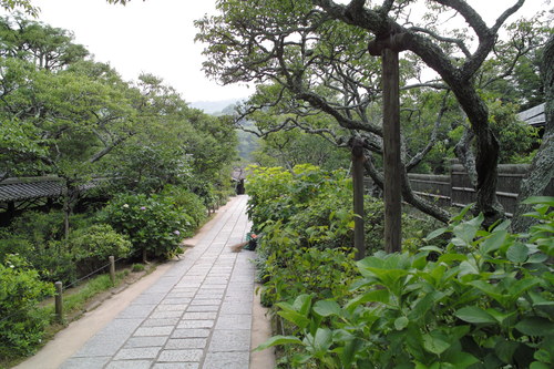 b0285619_10355756.jpg