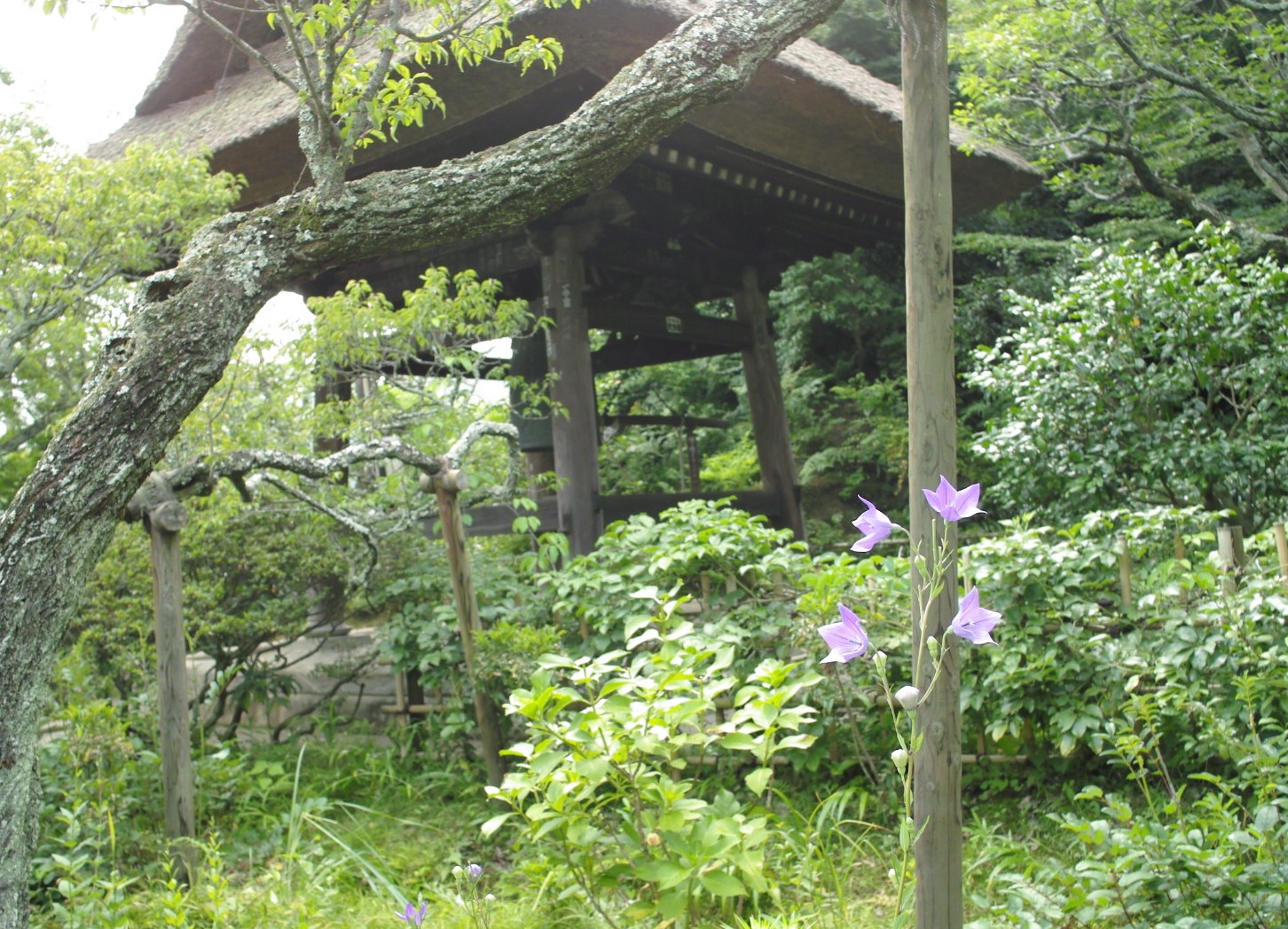 b0285619_10525569.jpg