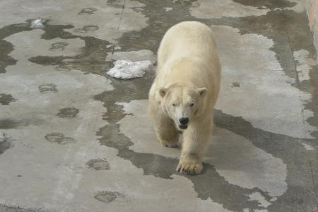 f0344626_00041070.jpg