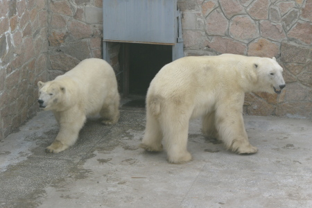 f0344626_00062996.jpg