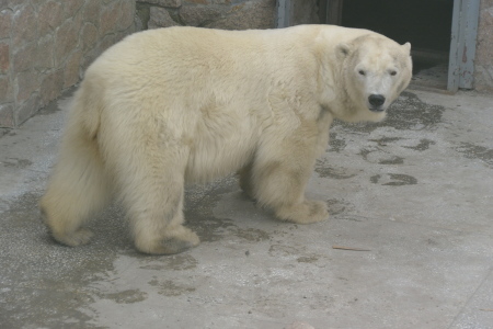 f0344626_00063896.jpg
