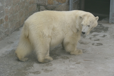 f0344626_00064537.jpg