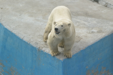 f0344626_00065756.jpg