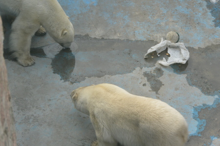 f0344626_00071774.jpg