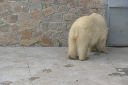 f0344626_00074301.jpg