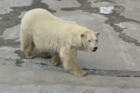 f0344626_00075825.jpg