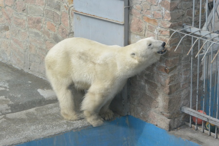 f0344626_00094246.jpg