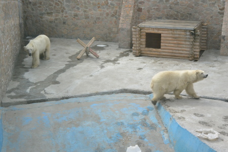 f0344626_00095773.jpg