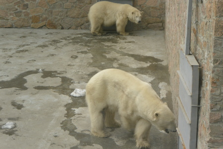 f0344626_00102202.jpg