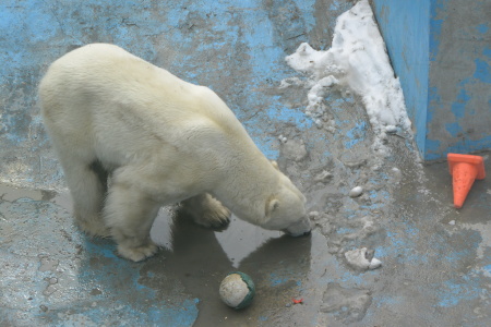 f0344626_00110338.jpg