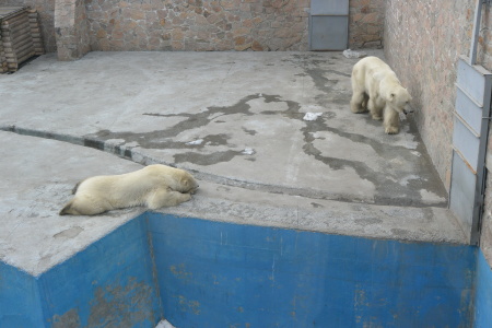 f0344626_00120517.jpg