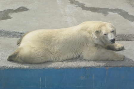 f0344626_00143036.jpg