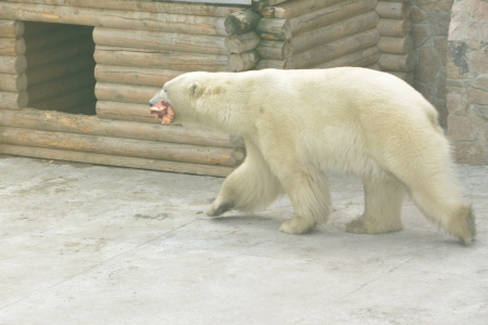 f0344626_00175482.jpg