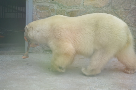 f0344626_00180246.jpg