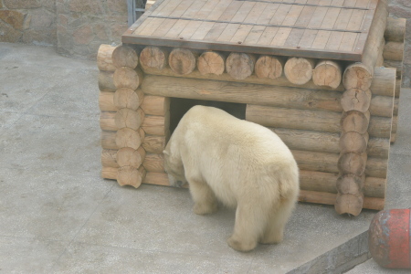f0344626_00245306.jpg