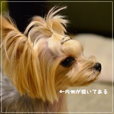 d0179828_00170051.jpg