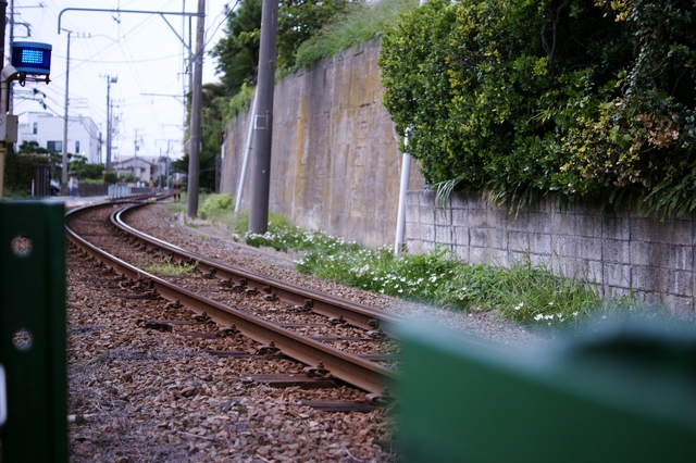 a0318033_15522240.jpg
