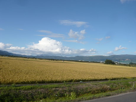 d0217833_1614910.jpg