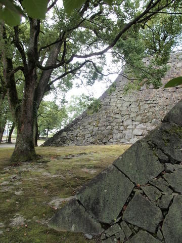 b0199742_012054.jpg