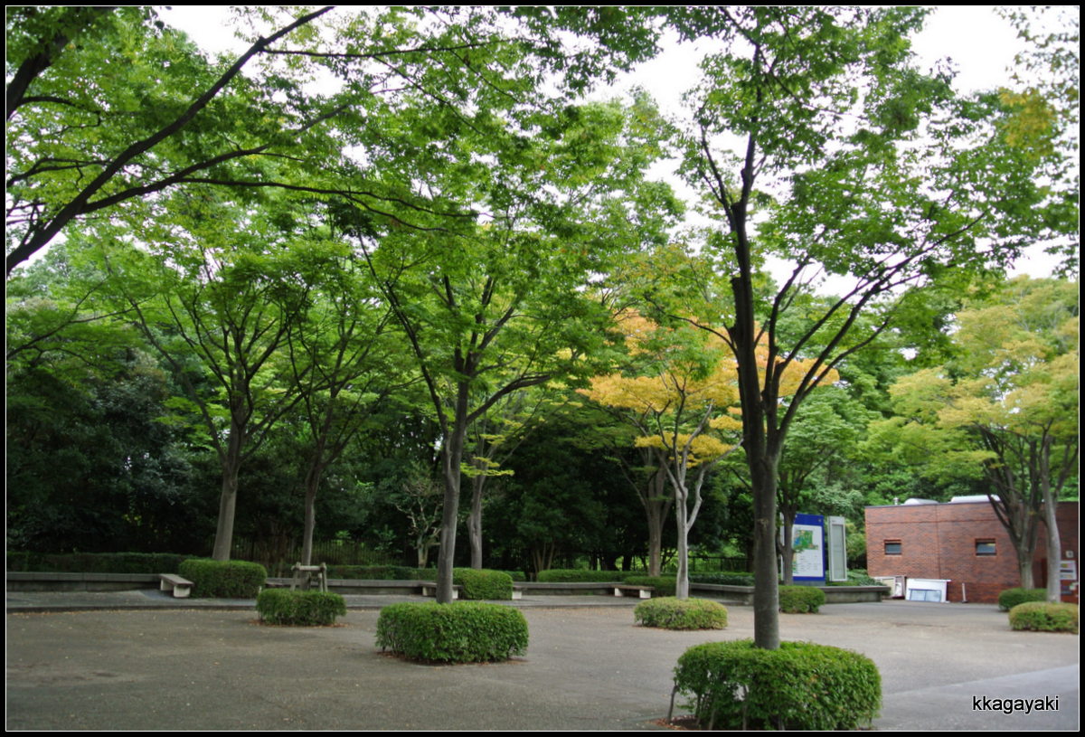 e0206242_7535074.jpg