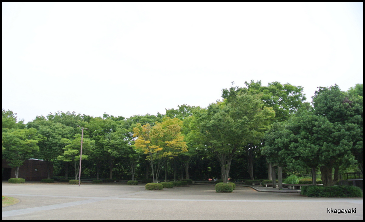 e0206242_754471.jpg
