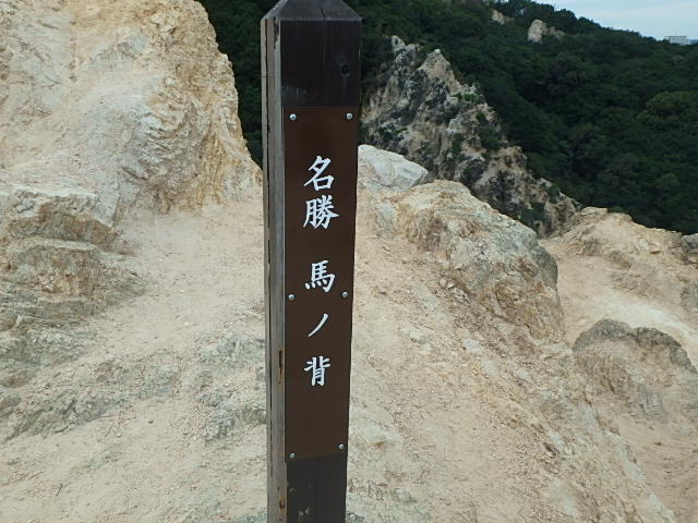 f0334143_22222678.jpg