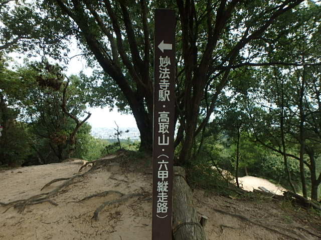 f0334143_22242242.jpg