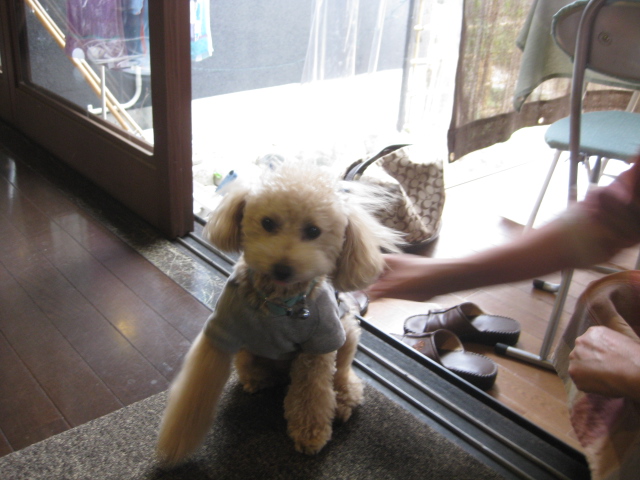 c0134645_0101666.jpg