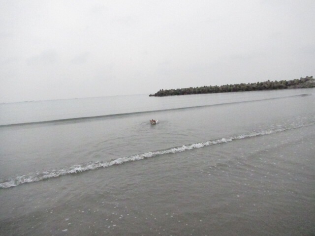 a0314846_16331368.jpg