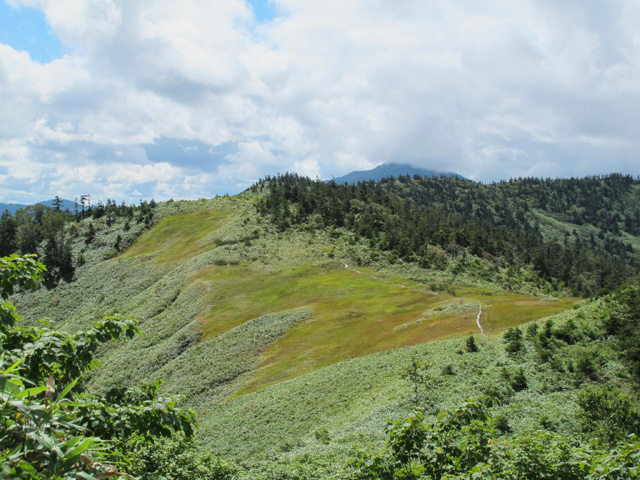 c0116856_14134341.jpg