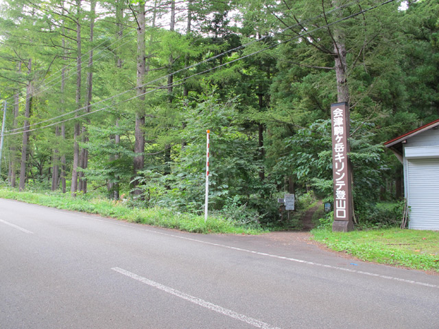 c0116856_1415141.jpg