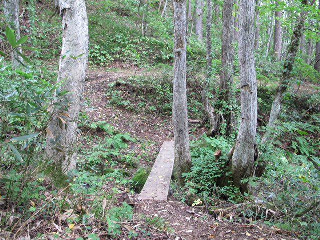 c0116856_1415685.jpg