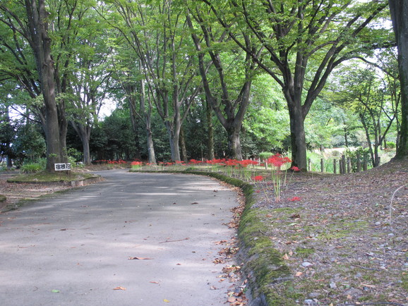 d0226259_20295758.jpg